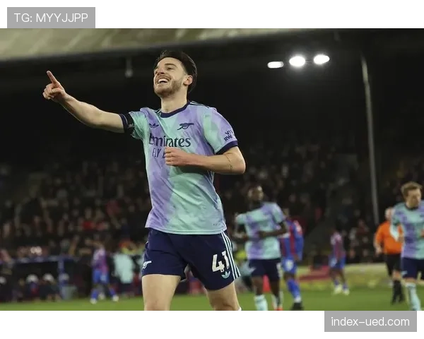 大马丁零封水晶宫 维拉门神成为球队欧战资格保障