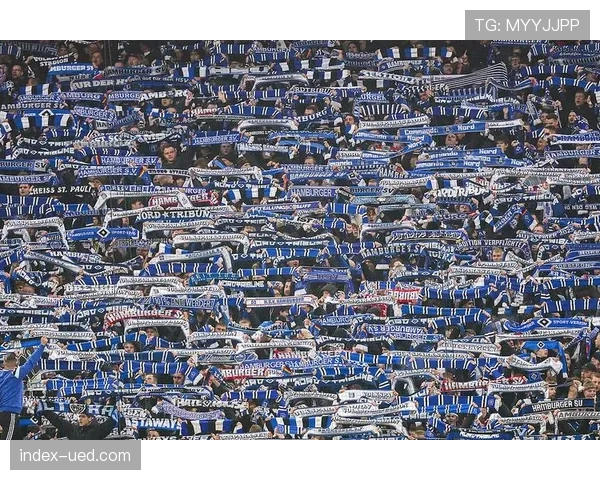 弗赖堡主场2比1力克汉堡 积23分暂列积分榜第八位